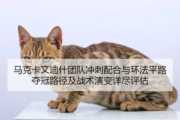 ma-ke-ka-wen-di-shen-tuan-dui-chong-ci-pei-he-yu-huan-fa-ping-lu-duo-guan-lu-jing-ji-zhan-shu-yan-bian-xiang-jin-ping-gu-2-874.jpg